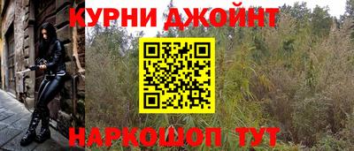 индика Будённовск